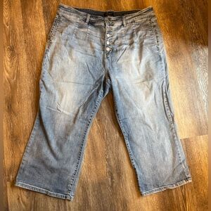 Button Fly Wide Legged Cropped Jean by Judy Blue 22W